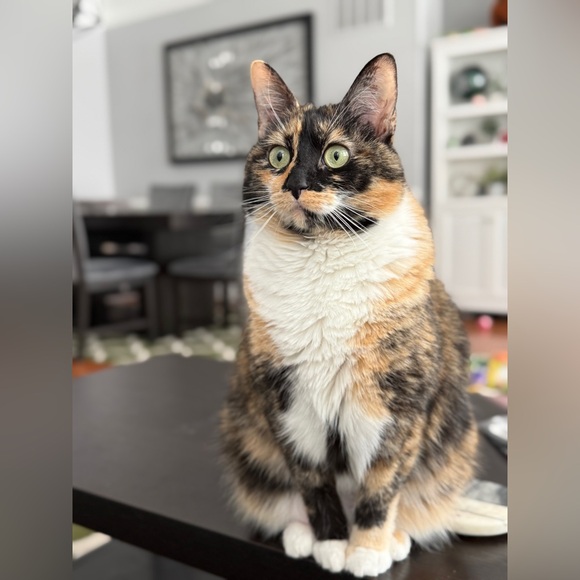 Meet your Posher! - Picture 5 of 9